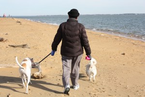 My Teachers: Alex and Bailey