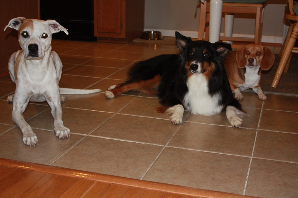 Alex, Walter and Sienna (from left to right)