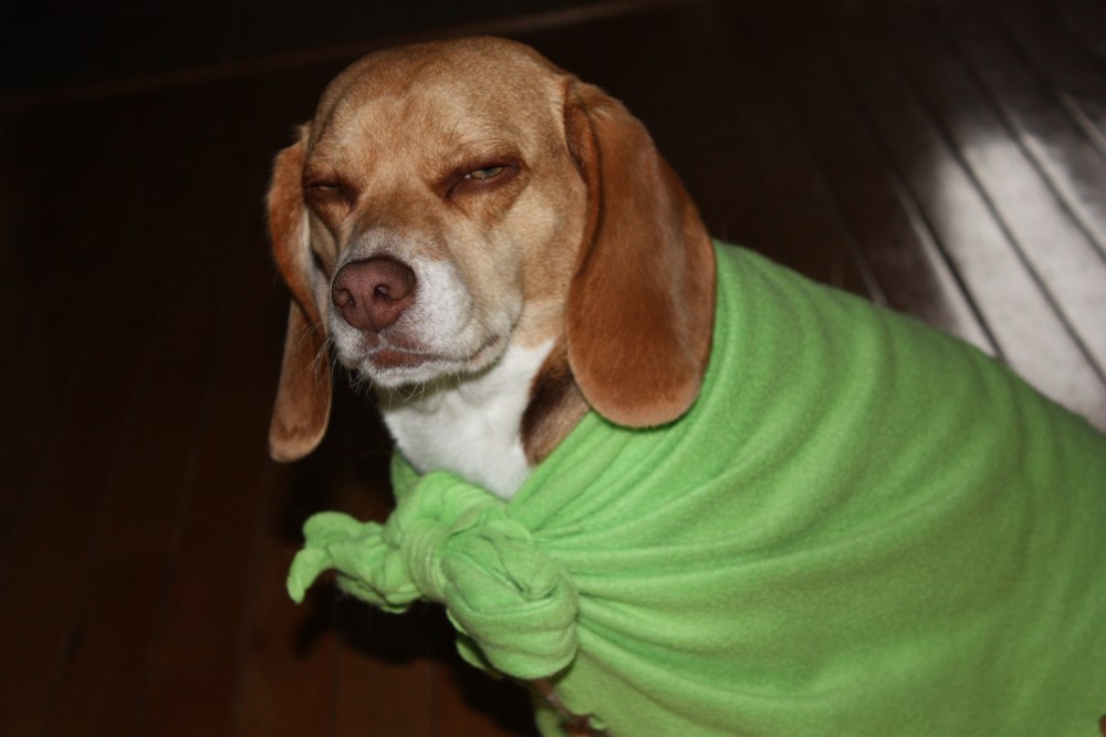 Sienna about to fall asleep