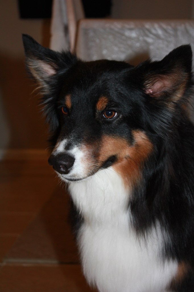 Walter, posing for this picture.