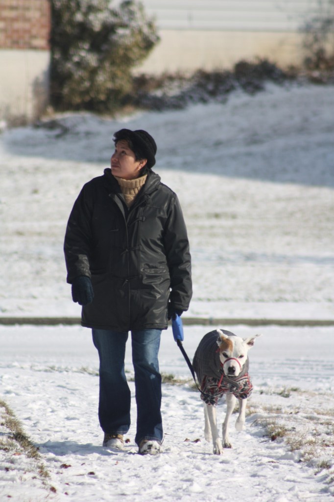 Alex, "mom, what is that."