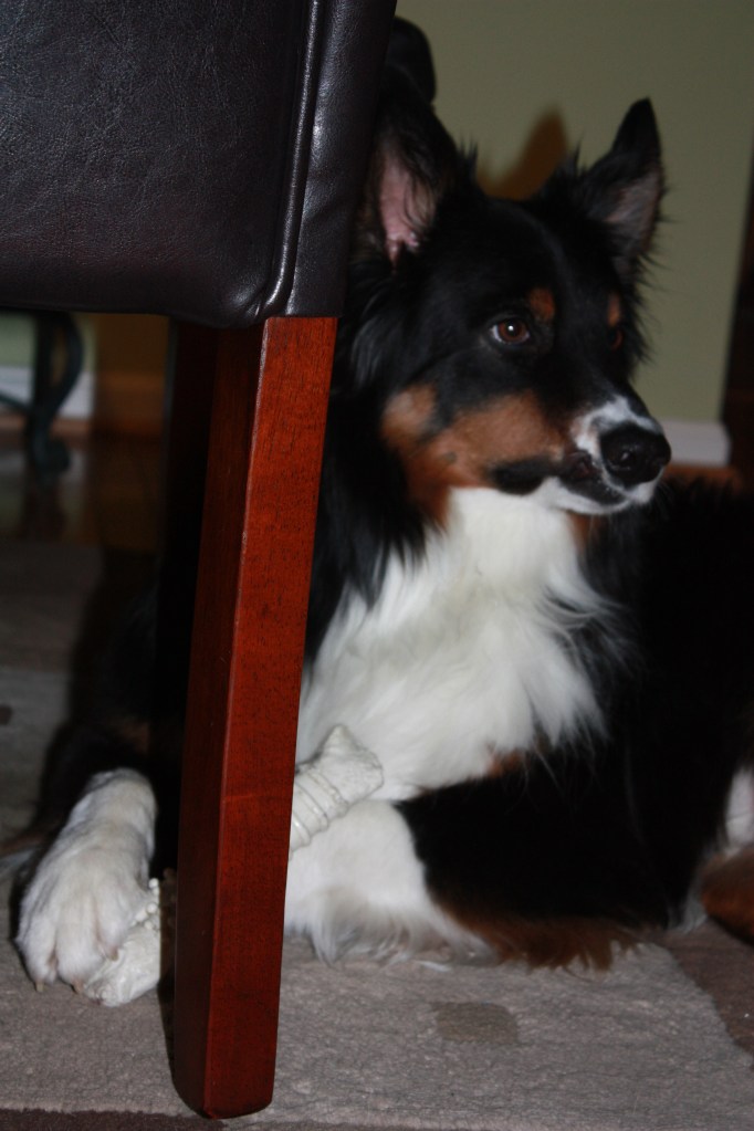 Walter