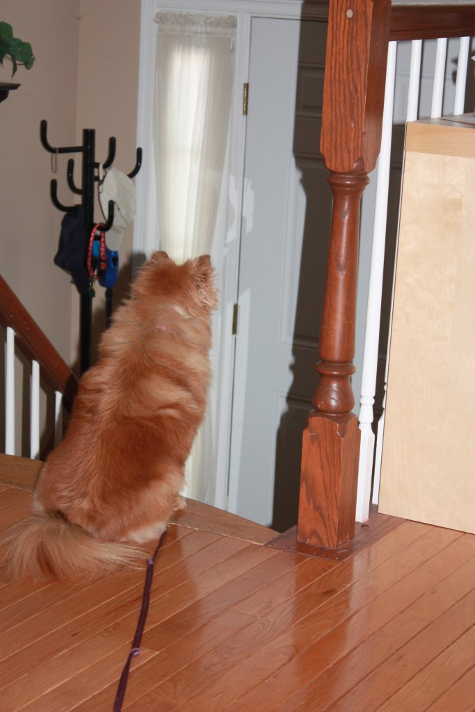 Roxy, "where are you going?"