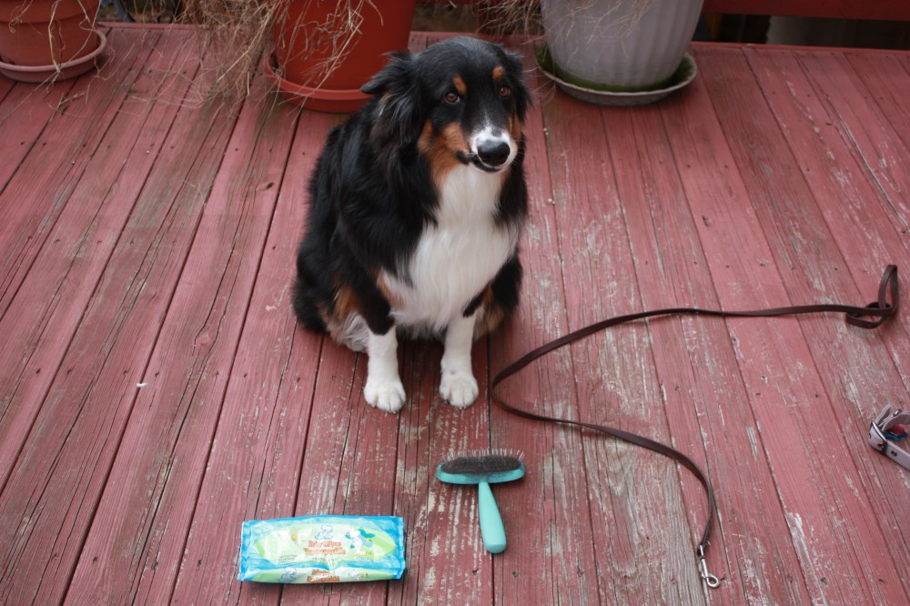 Walter. (wipes and brush)