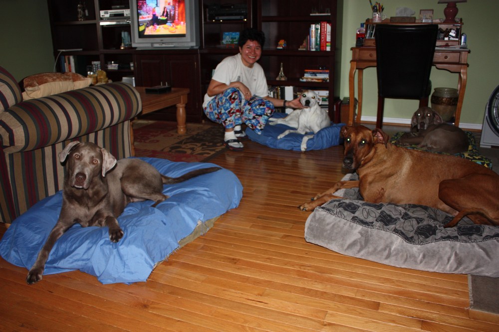 Josie, Marcela, Alex, Sarris, and Dozer