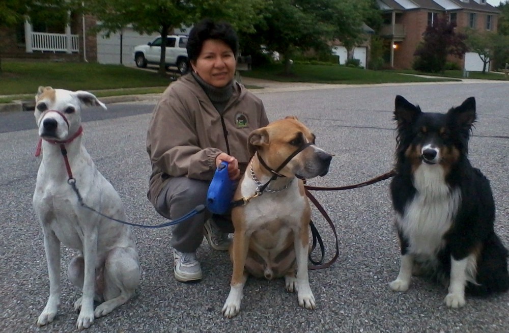 Alex, Dexter and Walter (from left to right)