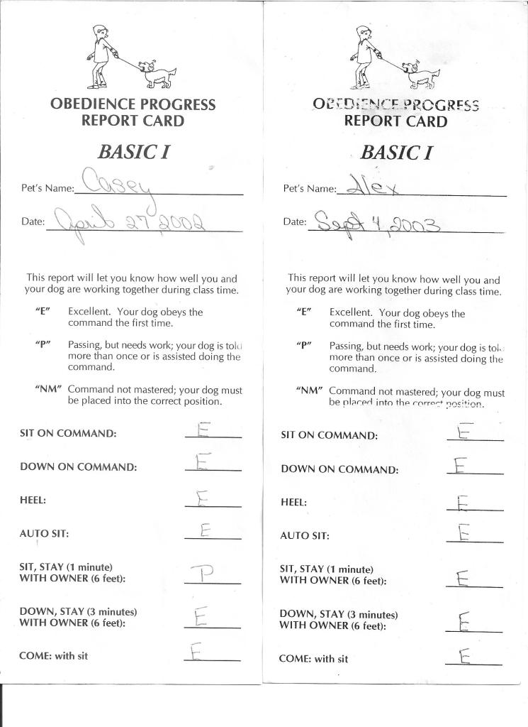 report card casey n alex front page