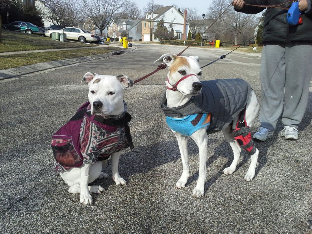 Bella and Alex (L to R)