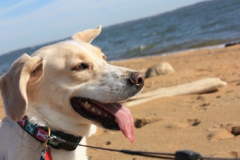 ??????????????????????