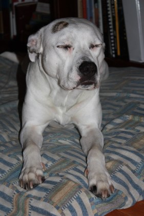 We are what?  I am afraid.  Hold me mom!