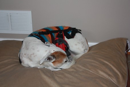 Alex, wearing her brace and a sweater