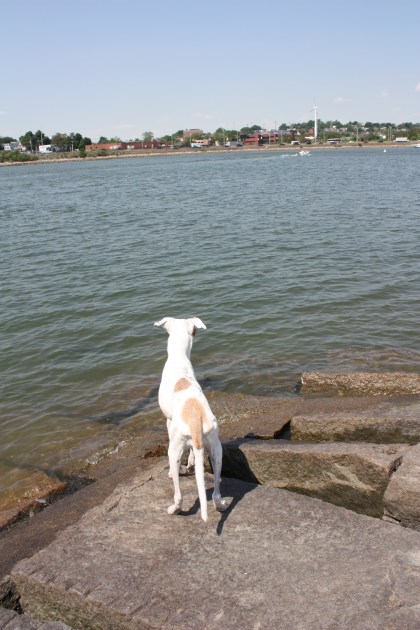 Alex, "Moms, look at the water."