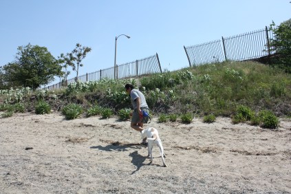 Cynthia, "Alex, chase me." Alex, "Ok., but I am not having fun."