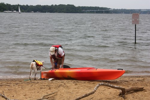 Alex, "Mom, do you need help?  You are taking too long.  Please hurry up."
