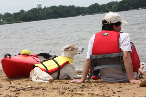 Alex, "Mom, I am really tired.  What's for dinner?"