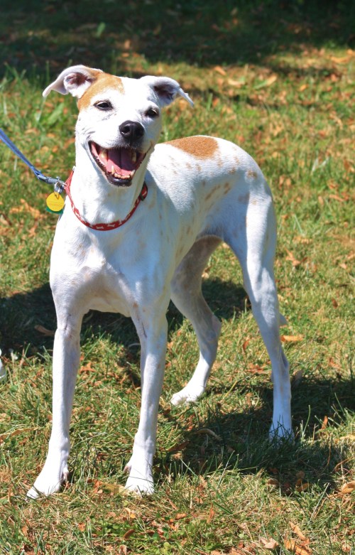 Alex, "Are we going on a trip? Yay!"