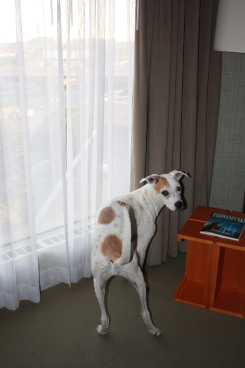 Alex, "Mom, what are you doing? Stop it."