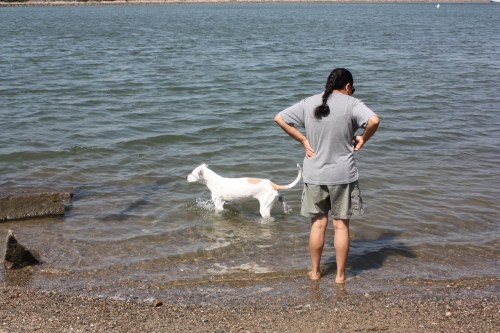 Alex, "Mom, let's go and explore."