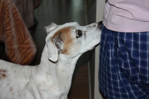 Alex, "Mom, please hurry up.  I am literally aging here."