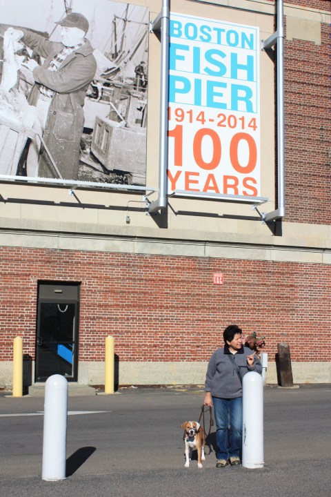 Harlow, " I think we are lost."