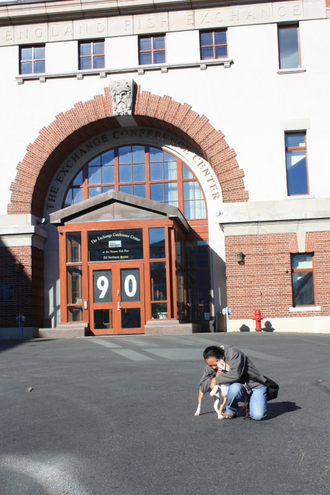 Harlow, "Help.  This human is showering me with hugs and kisses."
