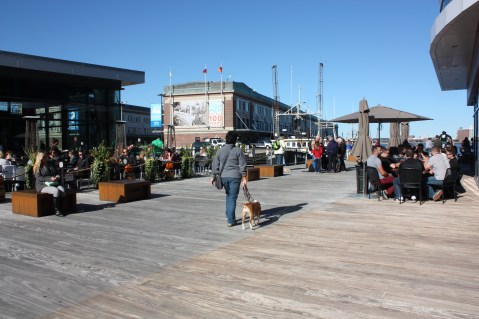 Harlow, "Wow!  Look at all the people here"