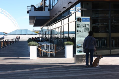 Harlow, "Is that the menu for the restaurant we'll be eating at?  I am hungry."