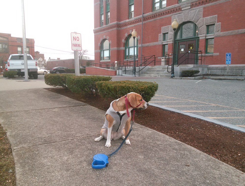 img_20161208_152116-1